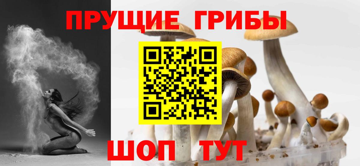 Галлюциногенные грибы Psilocybe  Вход с VPN  Кизляр 